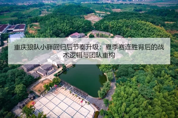 重庆狼队小胖回归后节奏升级：夏季赛连胜背后的战术逻辑与团队重构